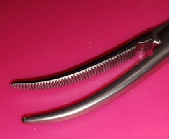 hemoDandy01-small.jpg