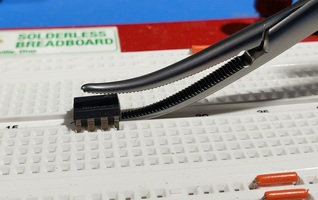 hemoDandy04-small.jpg