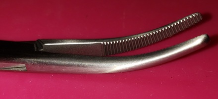 hemoSer04-small.jpg