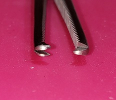 hemoSer17-small.jpg