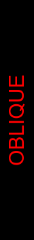 ANNO-OBLIQUE.png