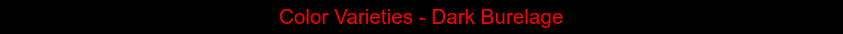 HEAD-Color_Varieties_-_Dark_Burelage.png
